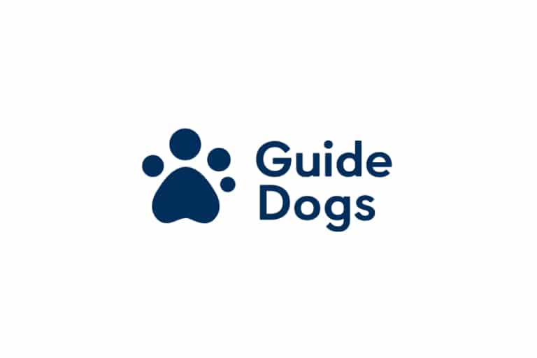 Guide Dog Puppy Toy